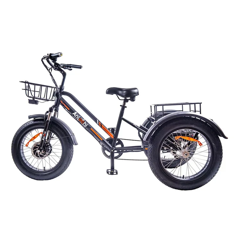 ANLOCHI 20 inch high power 48v 750w 3 WHEEL ELECTRIC BIKE fat tire e tricycle electric bikes for adults
