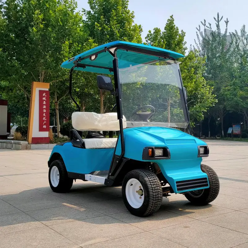 4KW Power Wholesale Factory Supply Electric golf cart 2 seats 30km/h