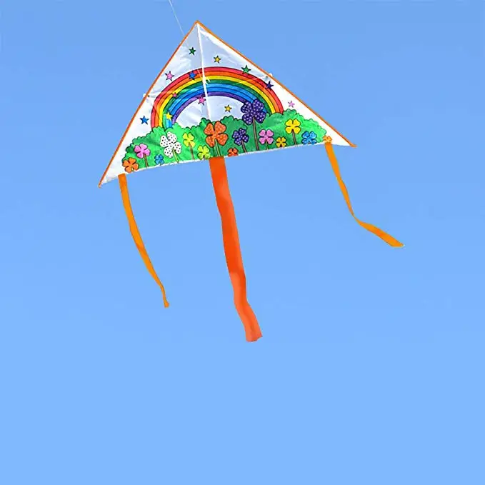 outdoor sport DIY teaching toys kite for promotion