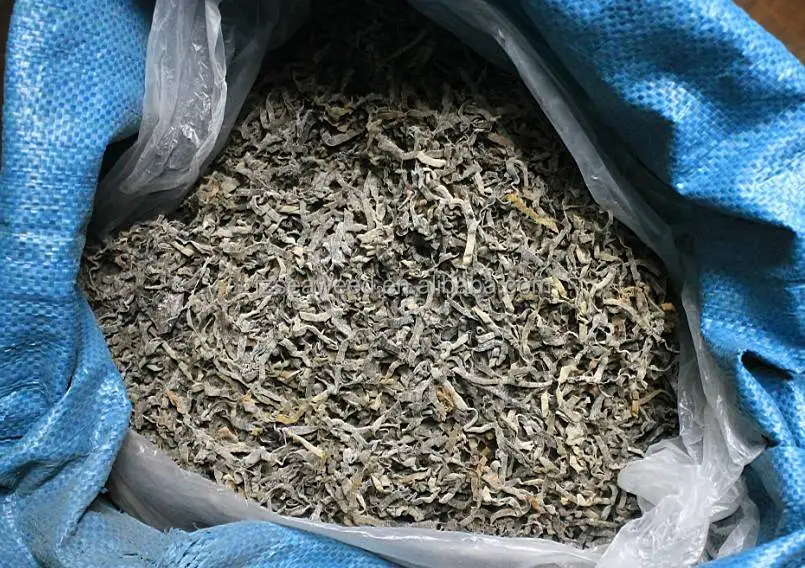 Hot Selling Healthy Organic Sea Vegetable Edible Algae Natural Dried Seaweed Kelp For Food