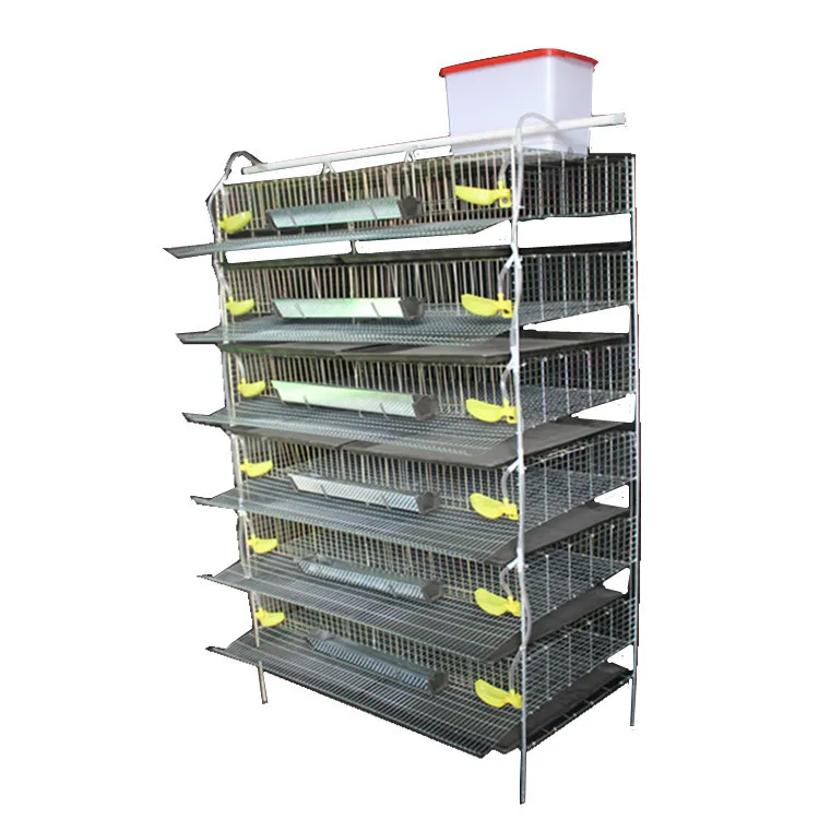 Cages of quails metal wire layer quail cage with automatic drinking system for sale