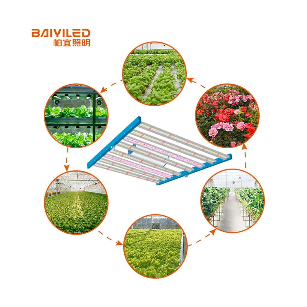 High Quality Grow Light With Driver Full Spectrum IP65 Waterproof LED Grow Light For Indoor Plants Hydroponic From China Factory