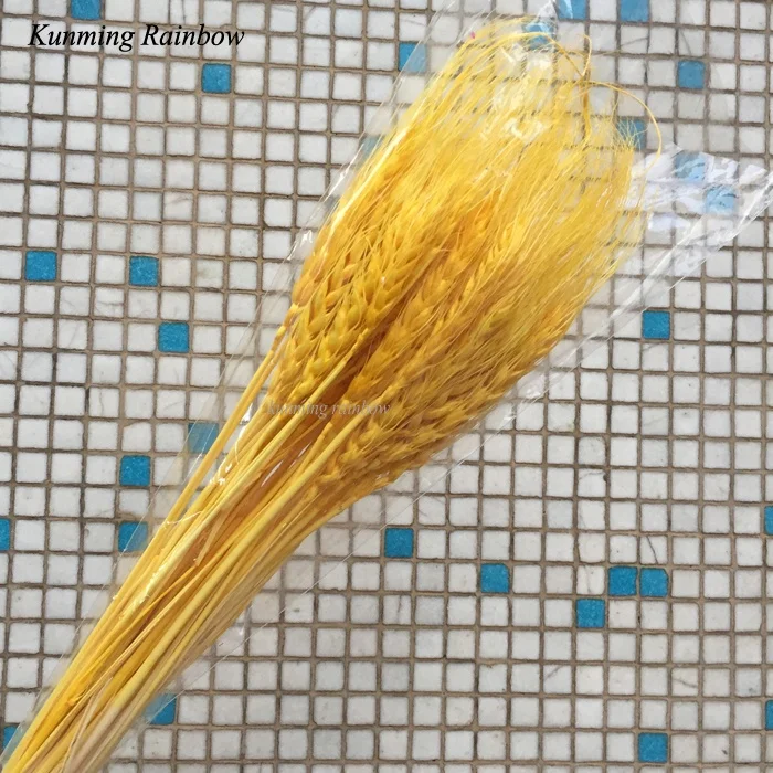 Hot Sale Home Decoration Natural Craft Dried Flowers Multi-colored Real Dried Flowers Wheat