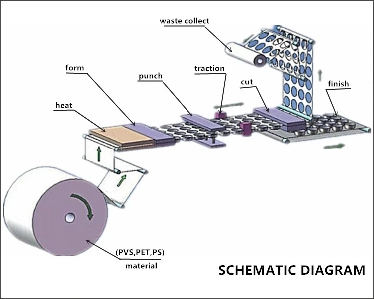 Automatic Plastic Cup Lid Thermoforming Machine Disposable Plastic Paper Lid Making Machine for Coffee Cup