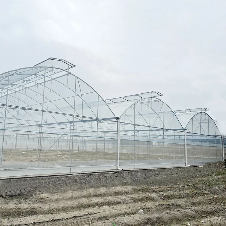 GT открытый зеленый дом с металлической рамой сельское хозяйство Коммерческая большая многопролетная пластиковая теплица для растений