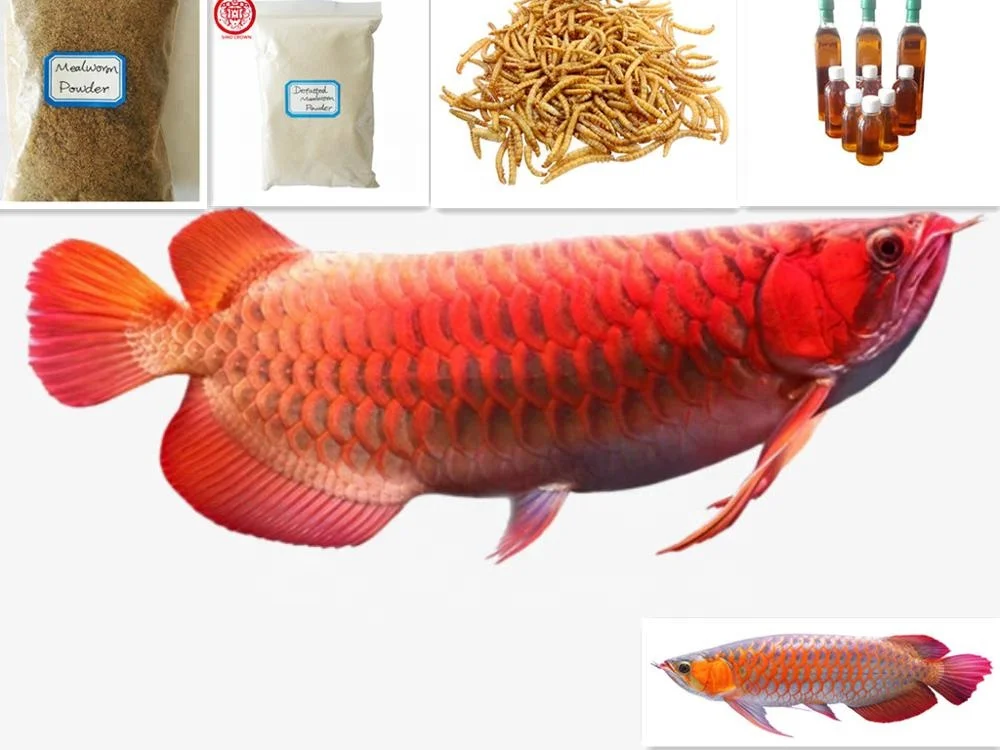
Koi Food Fish Feed Dried Mealworm Aquatic Feed Additive 