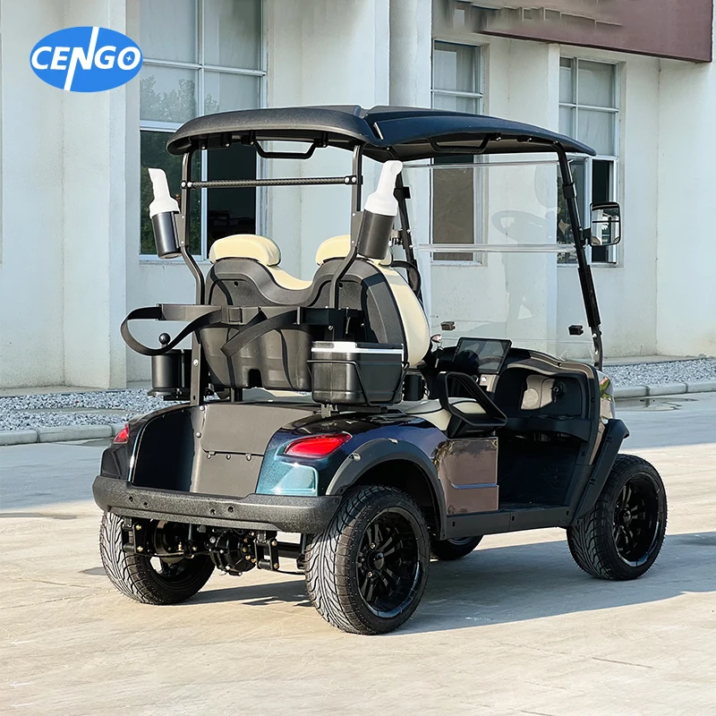 Luxury Off-road 2 passager Jeep electric golf kart with 48v 5kw lithium battery powered ambient light golf carts