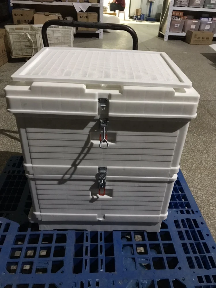 Wholesale Price Food Grade Langstroth Bee Box Plastic Beehive with a Thermometer