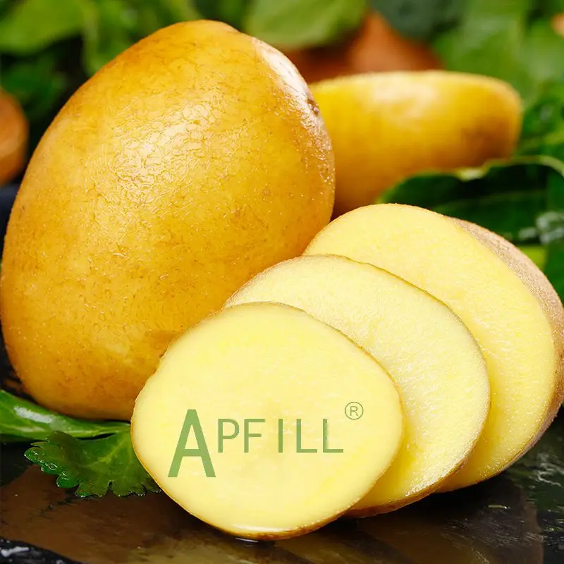 2022 fresh potatoes  Specialized planting technology and export company Offer the most competitive price