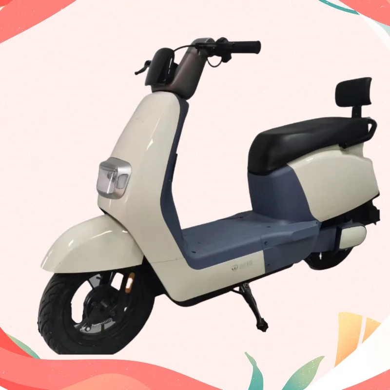 2024 New 48V60V High-Power Adult Electric Bicycle Multi-Functional Pedal Electric Vehicle with Digital Electronic Smart Types