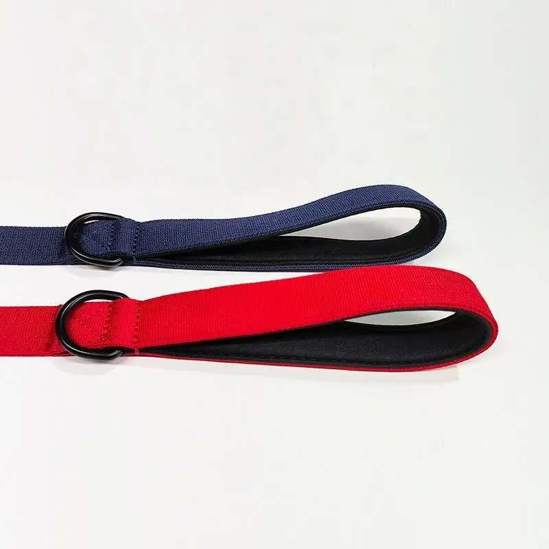 Best Price Custom Nylon And Metal Material Dog Leash Webbing With Soft Neoprene Padded Handle And Swivel Frog Buckle