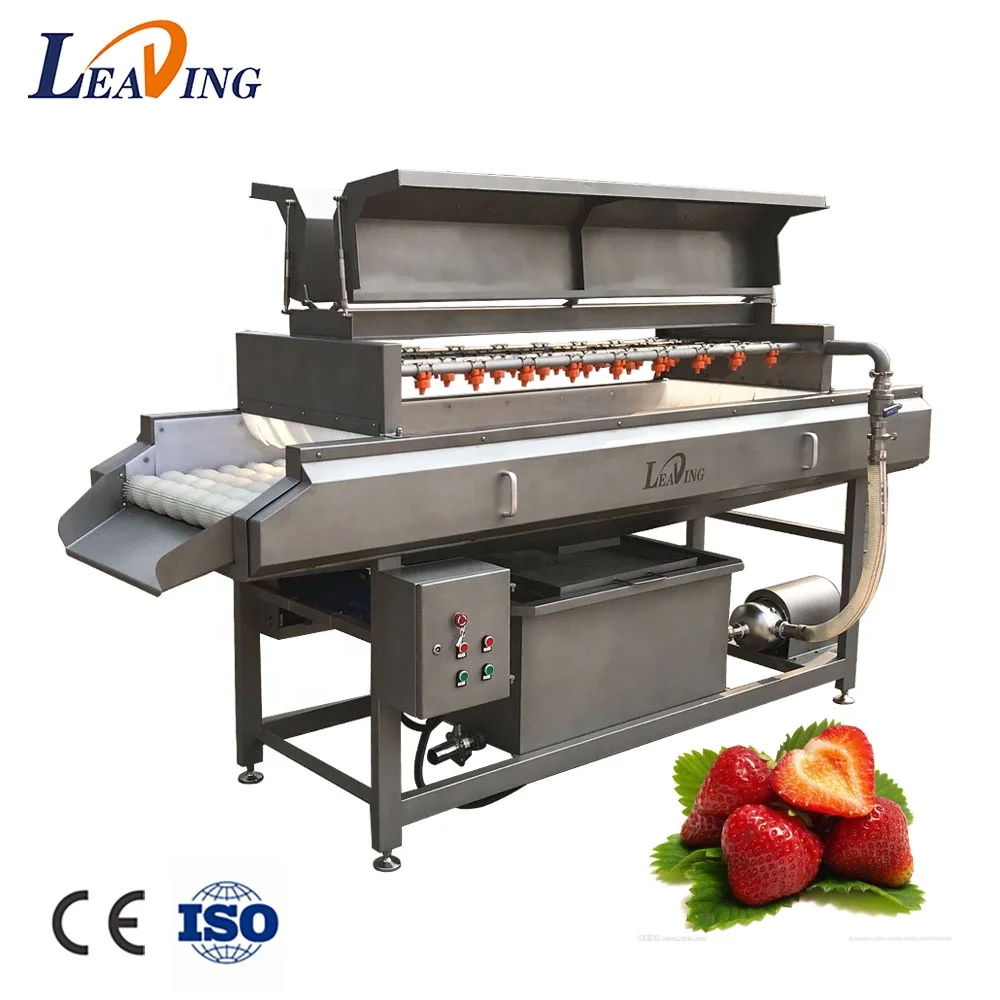 Brush Mango Grape Watermelon Peach Cleaning Date Washing and Drying Machine