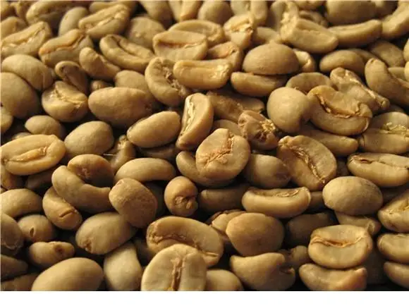 VIETNAM ROBUSTA COFFEE GREEN BEANS UNROASTED S16 WASHED NEW CROP 2023 2024 WHOLESALE LOW PRICE FACTORY HANFIMEX 0084374074818