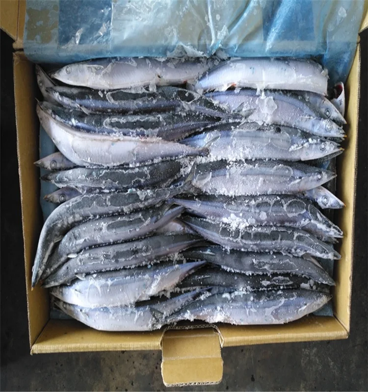 
Fresh Wholesale Frozen (Cololabis Saira) Pacific Saury Fish 