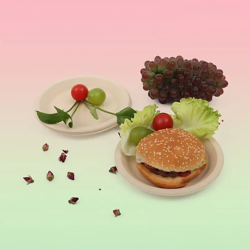 Disposable Tray Eco Friendly Microwavable Dish for Restaurant Biodegradable Bamboo Sugarcane Pulp Round Food Plates