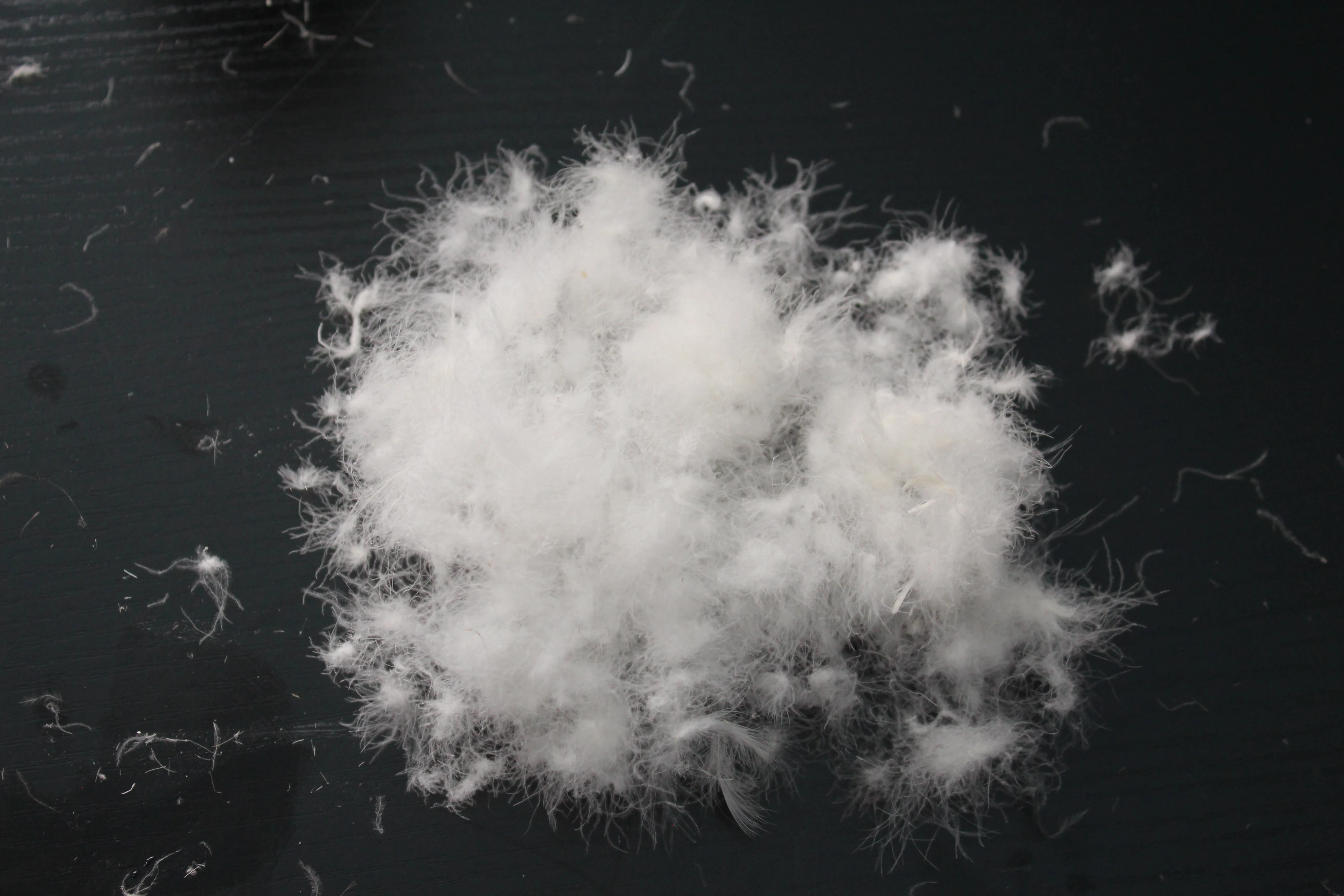 Wholesale Good Price High Filling Power White Goose Down  Pillow inserts Feather Down Washed Goose Down