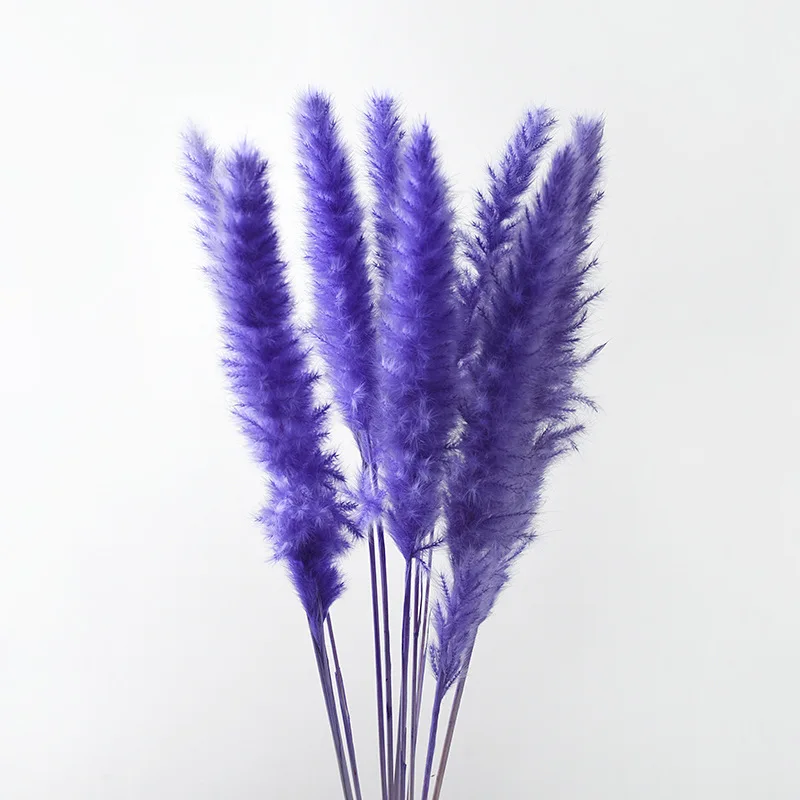 Wholesale Natural Dried Flowers Purple Small Pampas Grass Party Wedding Wall Decoration Home flower arrangement