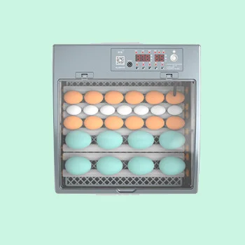 Reptile Digital Egg Incubator Hatching Machine For Snake Gecko Chameleon