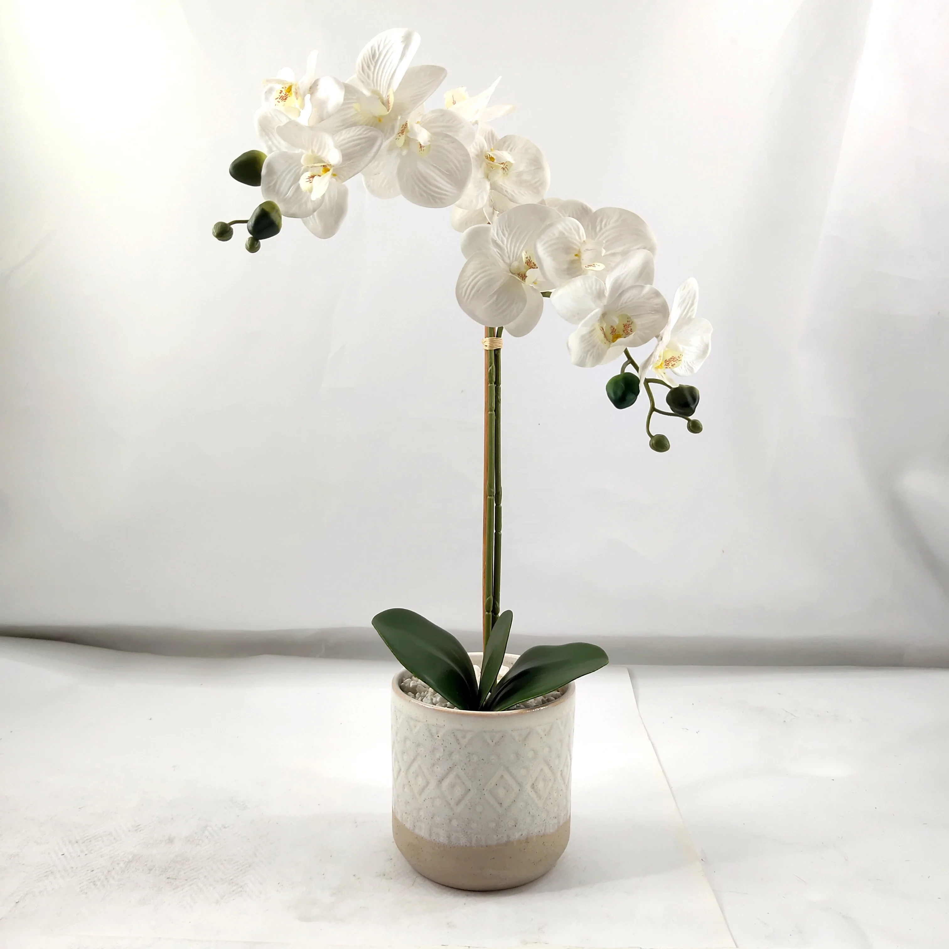 Wholesale Ceramic Orchid Plants Silk Preserved White Phalaenopsis Orchid Pot Artificial Orchid In The Pot