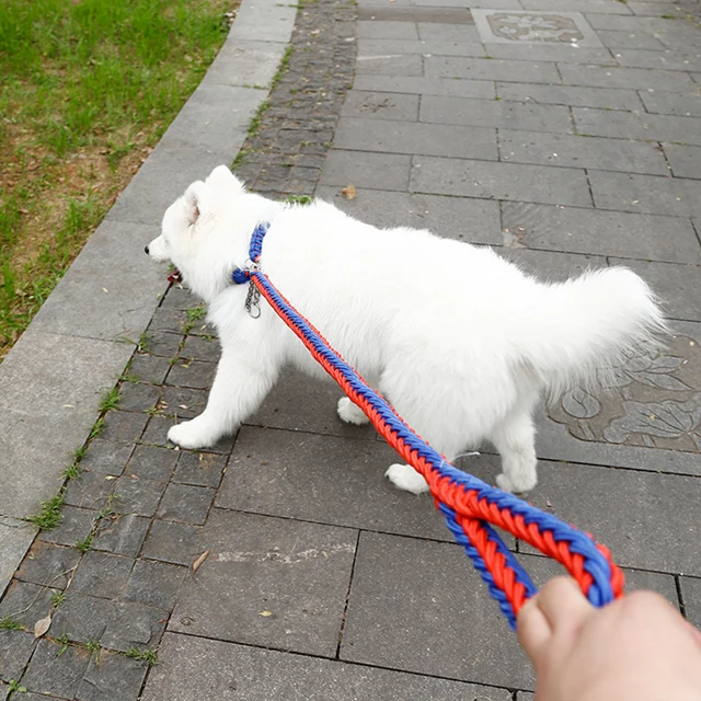  Новый стиль цветной нейлоновый плетеный поводок для собак поводки ошейники средних и больших