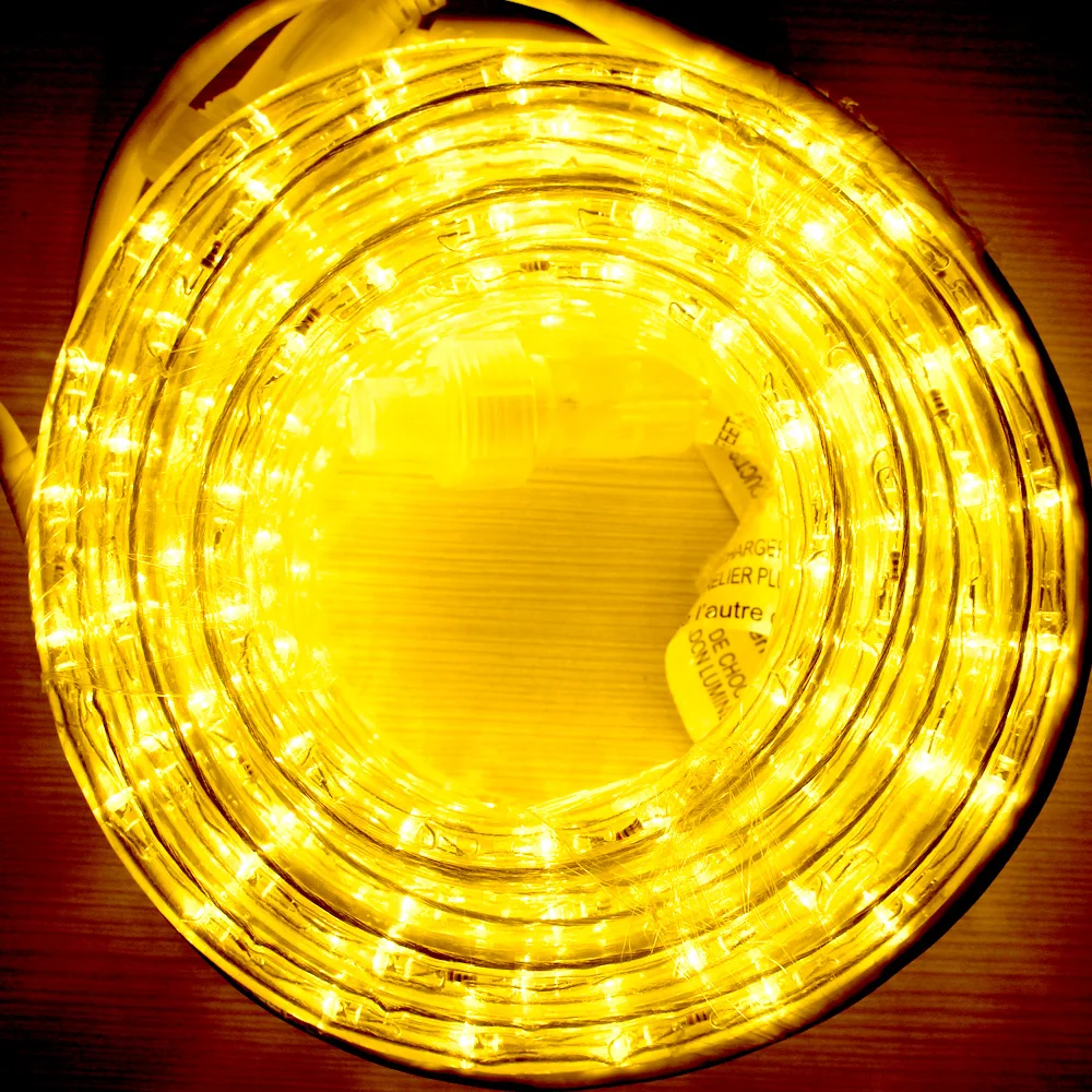 
rope light color changeable for home decoration Amazon popular circular two wire LED STRIP LIGHT 18FT 