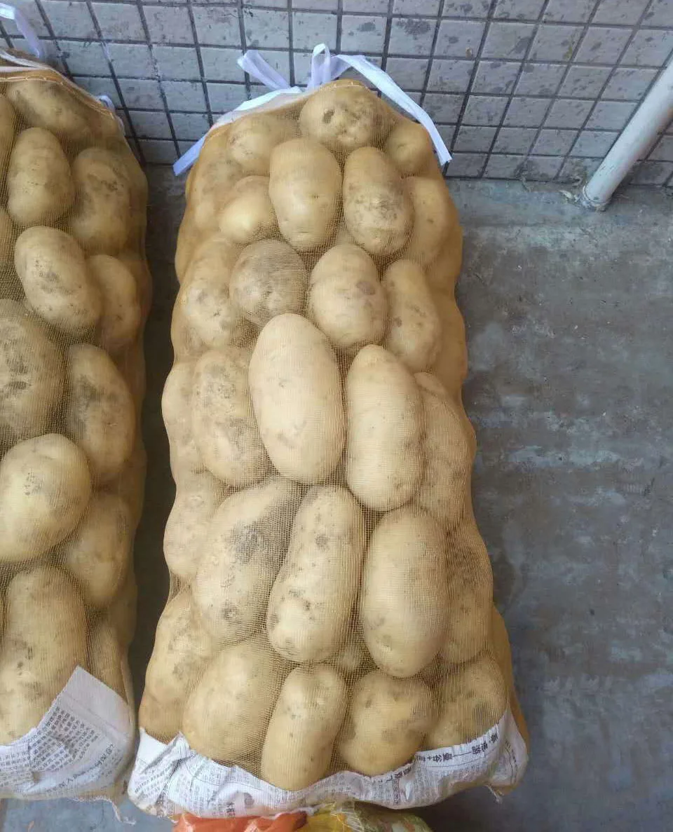 Export to Russia PP Mesh Bag 10KG 25KG 50KG blue Vegetable Fruit Packaging Net Mesh Raschel Mesh Bag with Drawstring