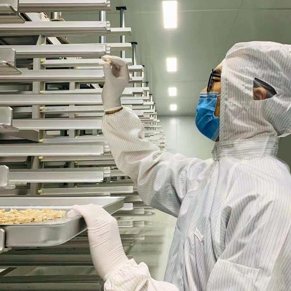 OEM Пищевое производство сухой курицы печени Сыпучие необработанные Замороженные кошачьи лакомства для взрослых собак всех