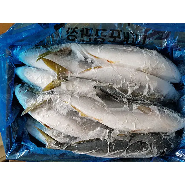 Свежая круглая Корейская рыба оптовая продажа замороженные морепродукты Желтая с желтым хвостом