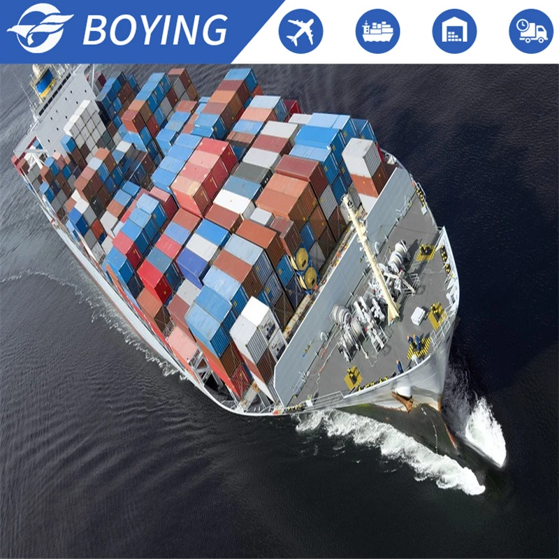 container shipping agent sea shipping china to USA Canada  fba  DDP  door to door truck shipping service