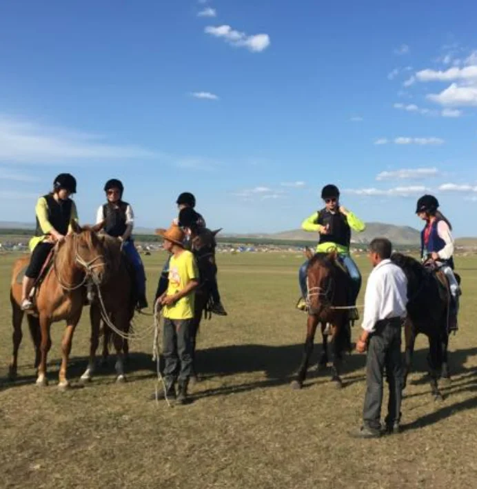 High quality horse riding helmet with removable moisture wicking For unisex equestrian outdoor sports