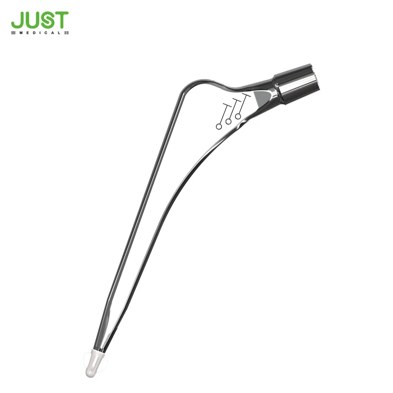 The plug cement hip implant prosthetic hip