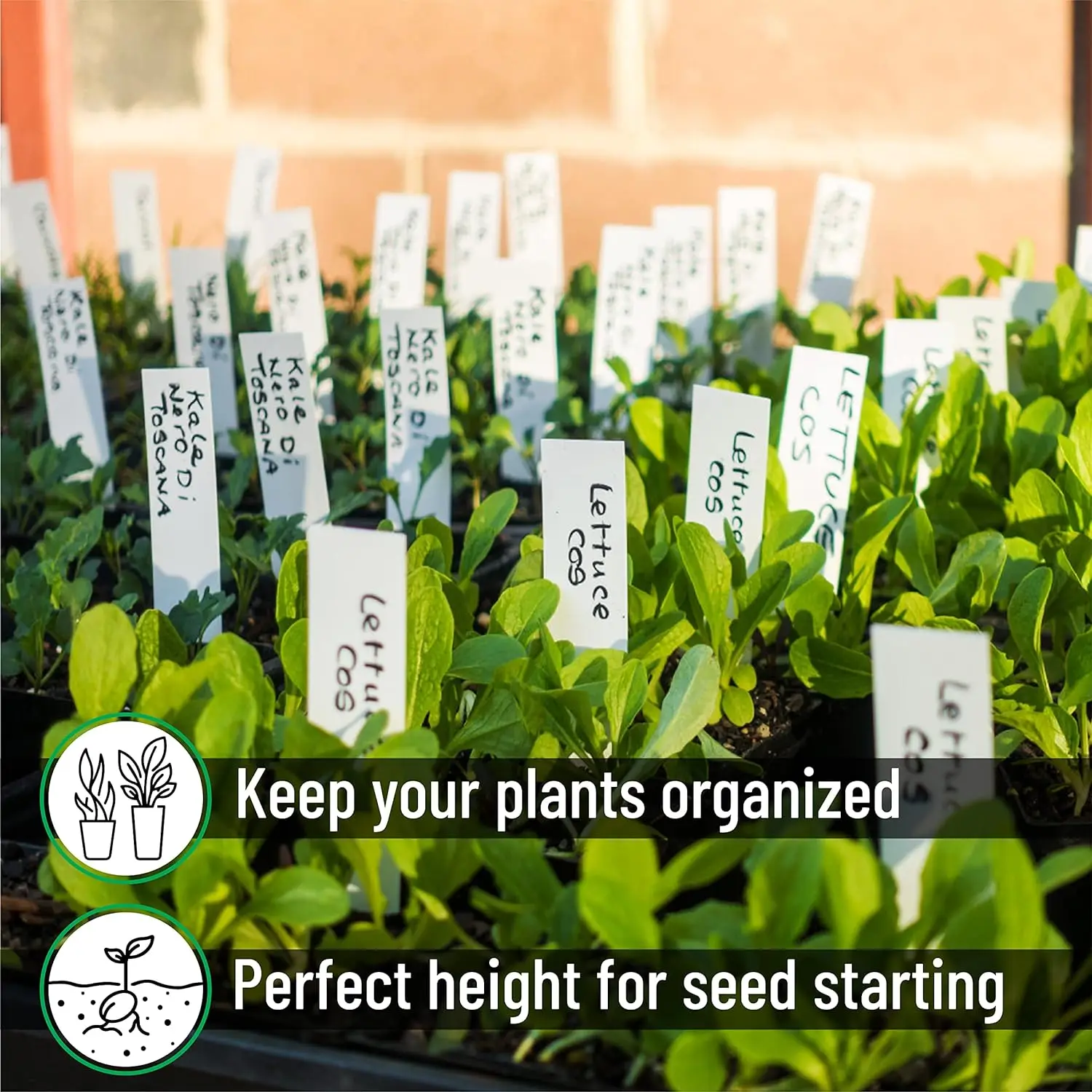 White Color Outdoor Garden Labels Waterproof Plastic Plant Labels Plant Name Tags Planting Sticks for Seeds