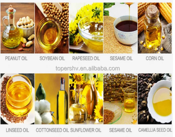 Stainless Steel Liquor Filter