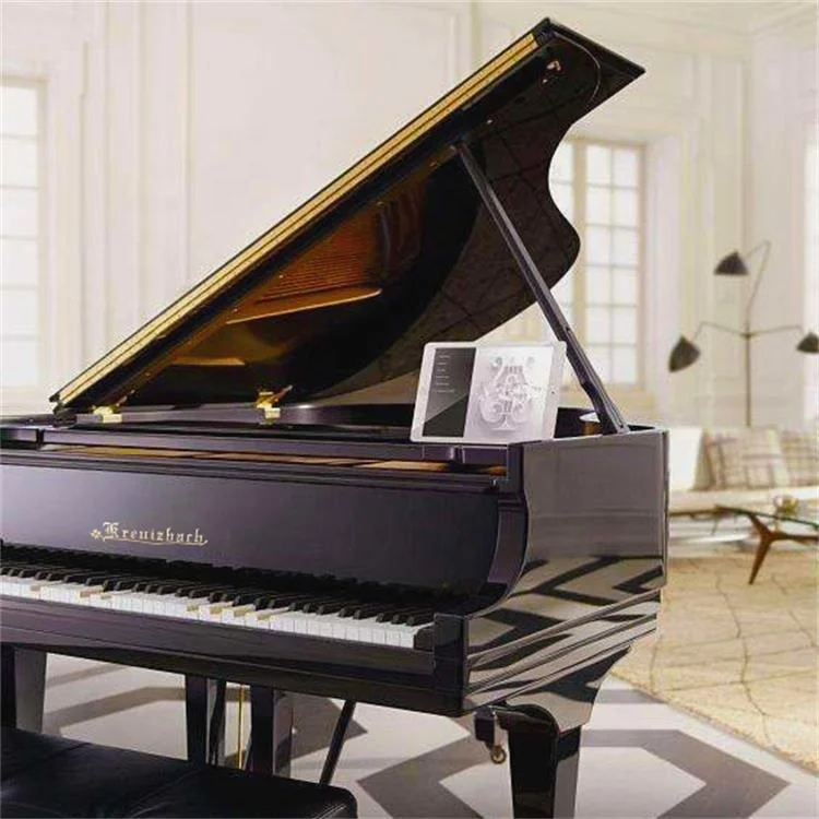 KG-231 PianoDisc Automatic play piano