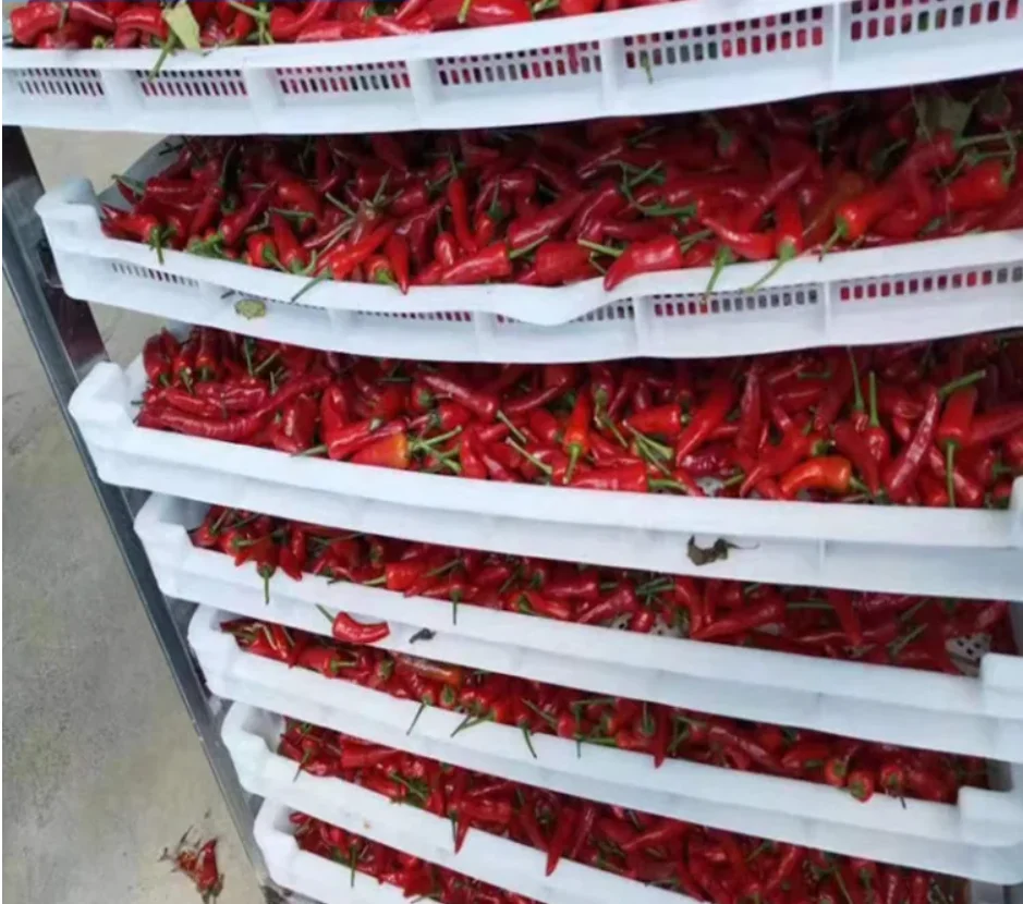 Factory wholesale high quality and low price  plastic drying tray for dehydration vegetables