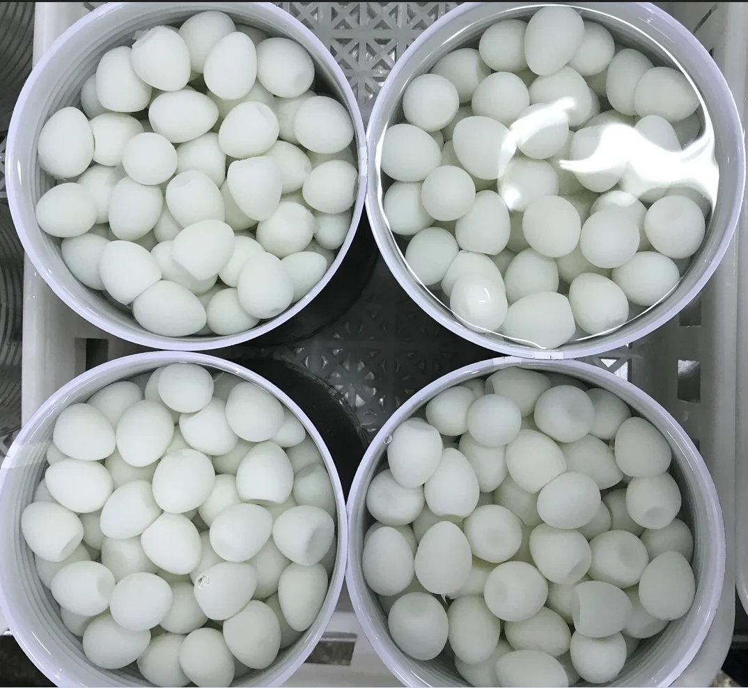 Good Quality Factory Prices Boiled Canned Quail Eggs Wholesale Quail Eggs In Water