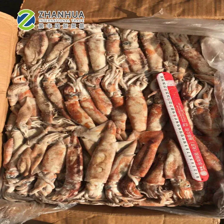 Lолиго кальмар китайский замороженный хорошего качества оптовая