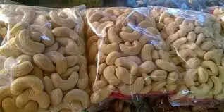 
High Quality Cashew Nuts & Kernels ww240 