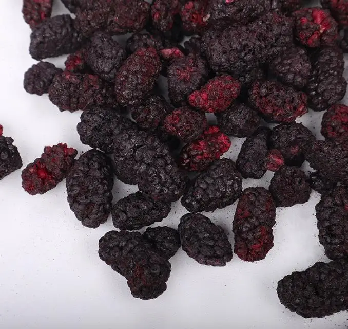 Freeze dried berry fruits snacks No additives Frozen dried mulberry fruits high quality factory wholesale