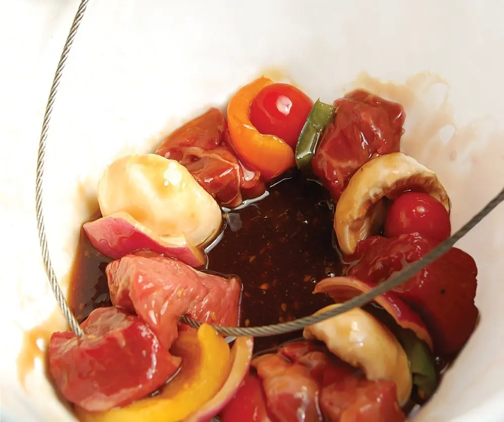 BBQ Skewers for Grilling Cable Skewers Stainless Steel Kabob Skewers set of 2