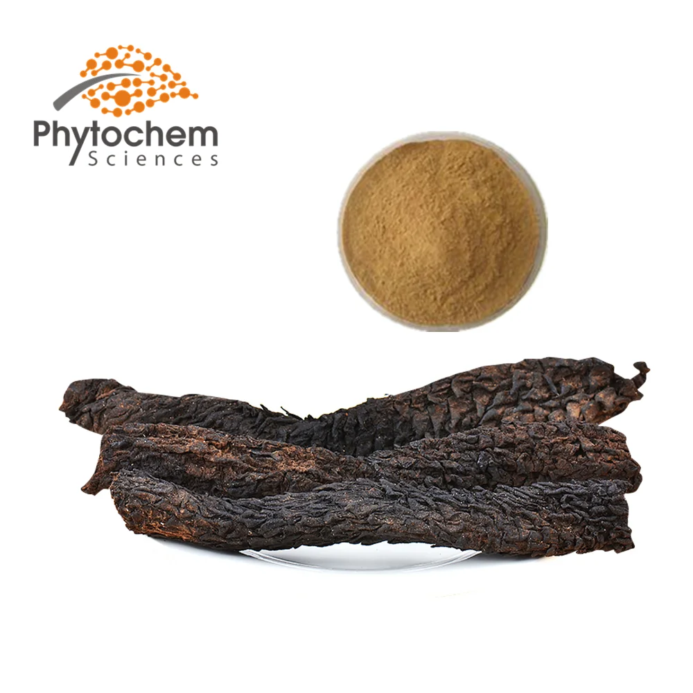 Pure Natural Echinacoside Verbascoside Cistanche Cistanche Tubulosa Extract Tubulosa Extract cistanche extract