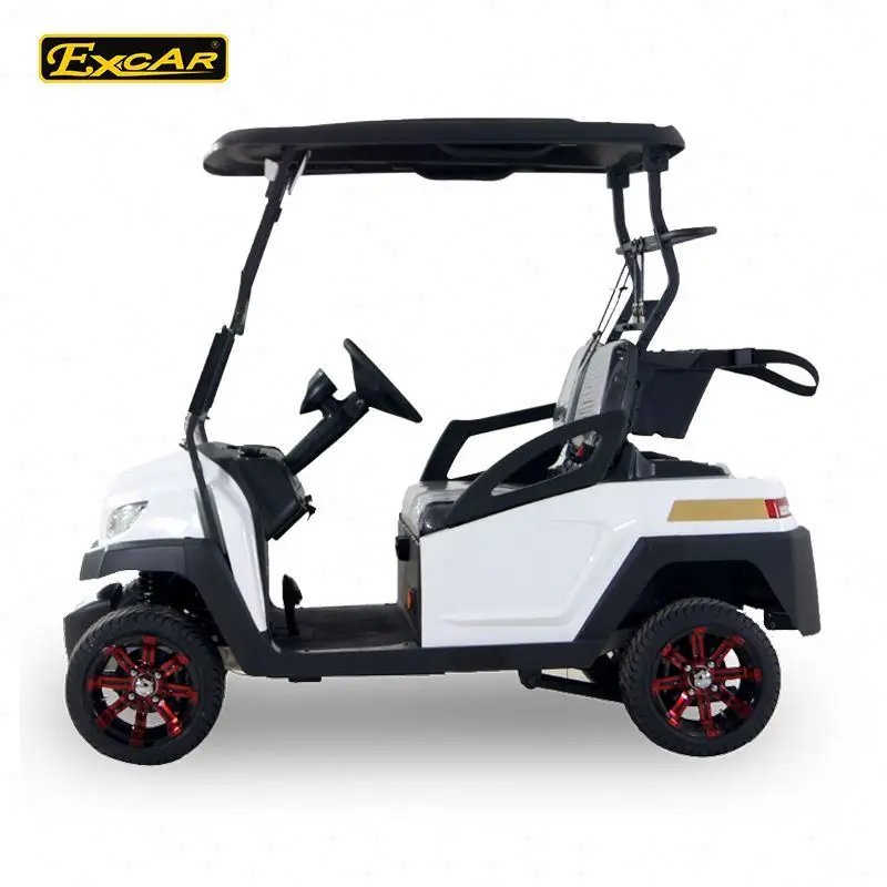 Company 2 seats electric golf shuttle buggy