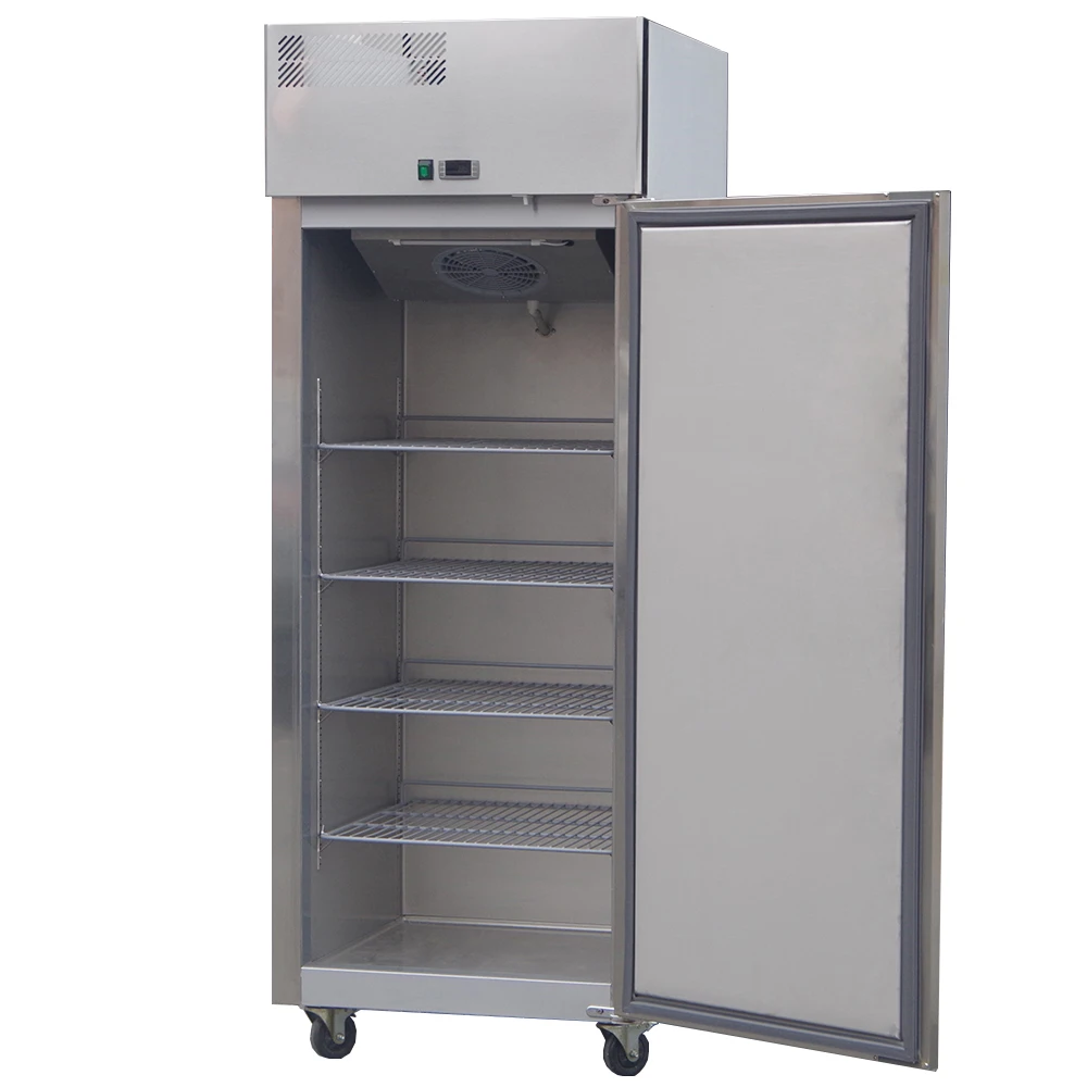 High Quality Commercial Fridge Deep Freezer Fridge Restaurant Cabinet Fridge Cooler
