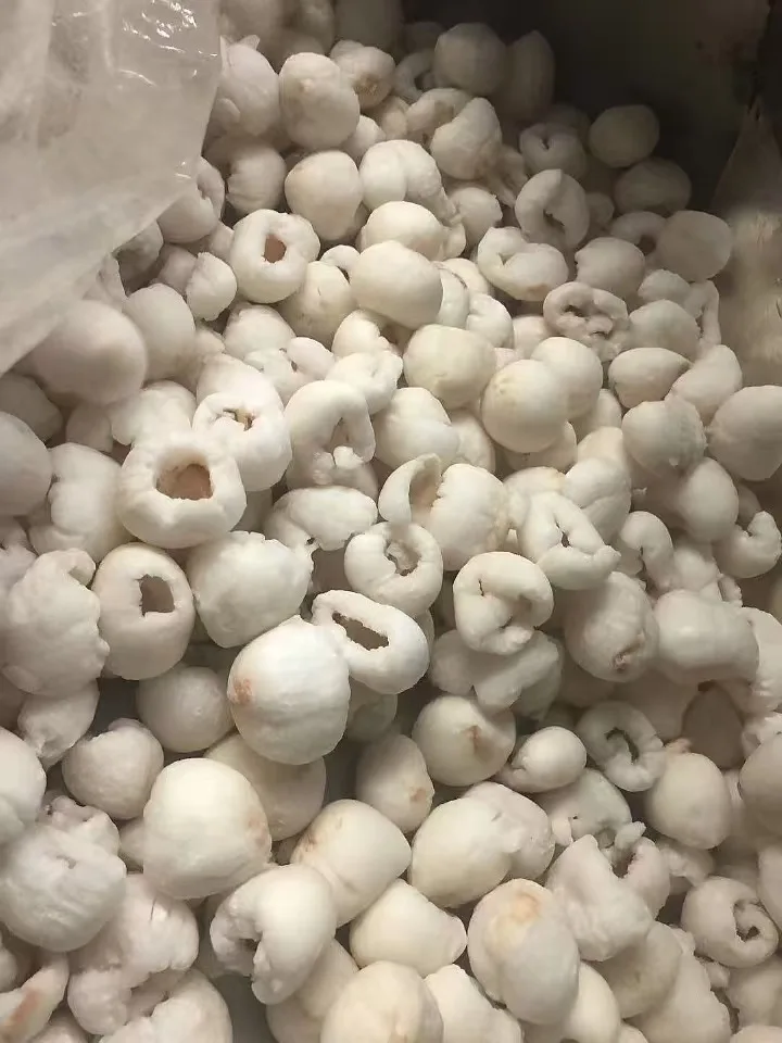 Professional  Frozen Peeled Lychee  Seedless Iqf Lychee Frozen Lychee