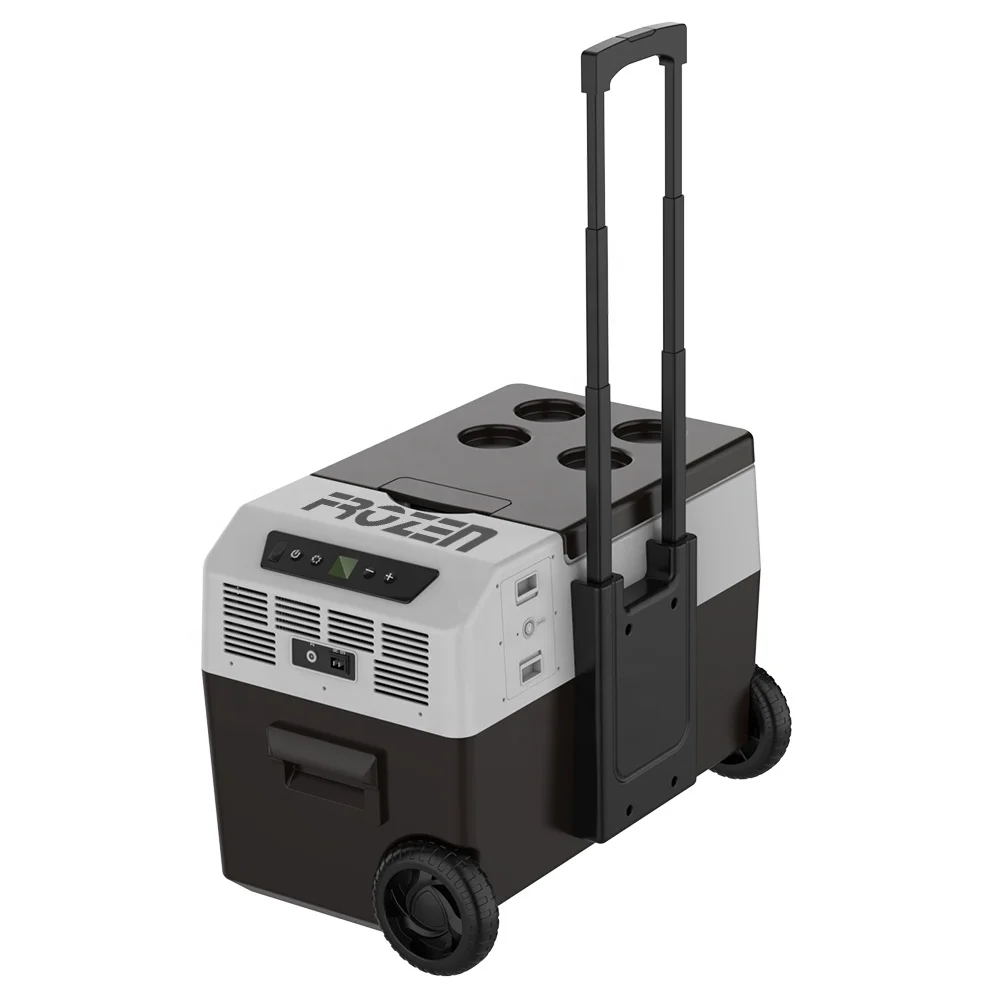 Small Car Fridge 12V 24V Portable car Refrigerator 30L Compressor Truck Freezer Cooler for travel party