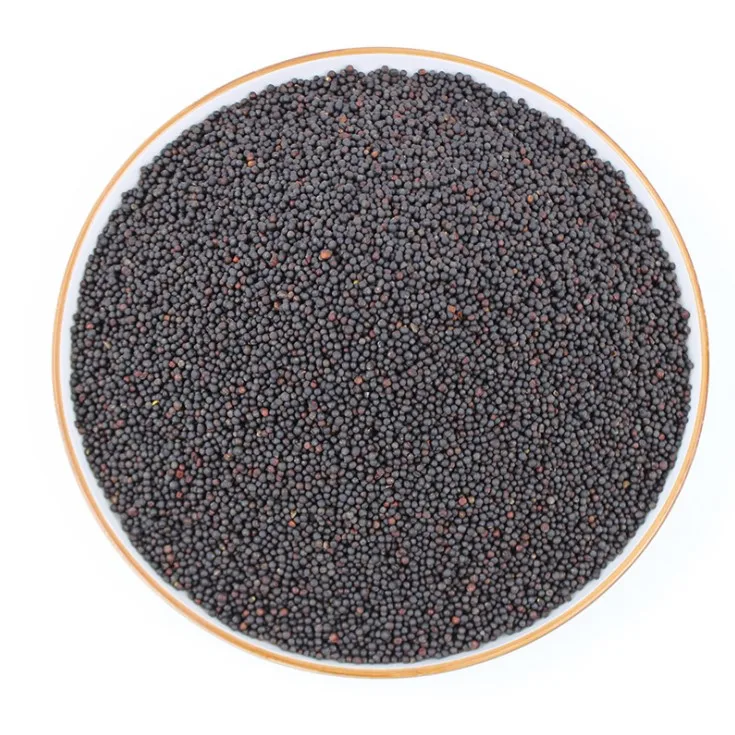 Wasabi Seed Spices Western Food Spices Black Mustard Seeds Seasoning Wholesale