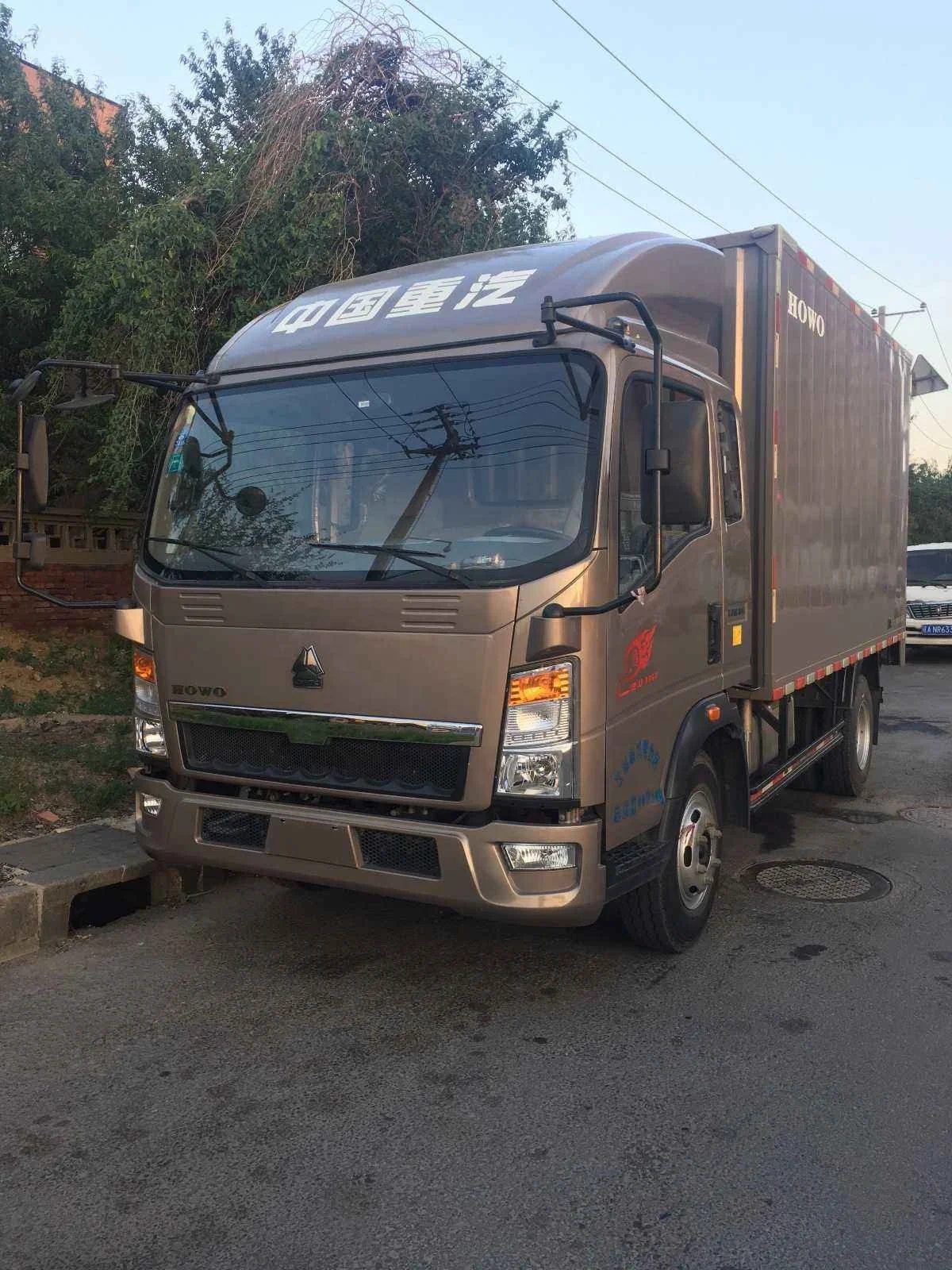 Низкая цена SINOTRUK 6 тонн 7 8 9 10 грузовик для легких грузовых автомобилей на
