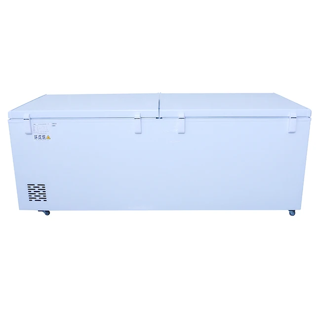 12v24V 200L 300L 400L 500L 600L solar freezer, DC refrigerated refrigerator