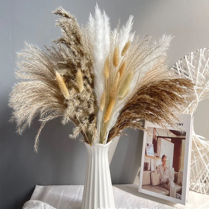 Attractive Price New Type Home Decoration Grey Bunny Tail Pampas Dried Flower