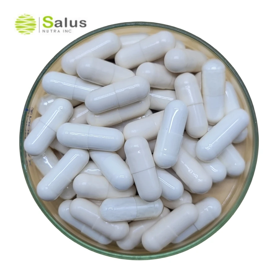 NAC Capsules N-Acetyle Cysteine 500mg NAC Supplement ISO22000 and HALAL Certified Products